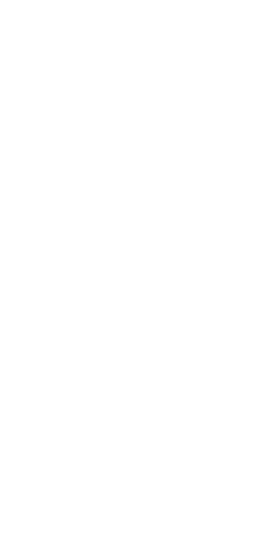 Melamine Cyanurate